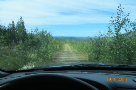 IMG_1067.jpg IMG 1067
