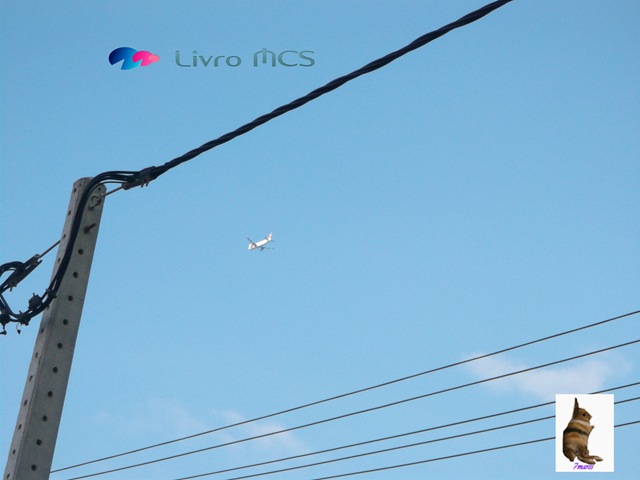 [Bolg%2520Gazeta%2520de%2520Espinho005%2520Livro%2520MCS%255B2%255D.jpg]