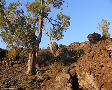 Craters of the Moon View Craters of the Moon View
