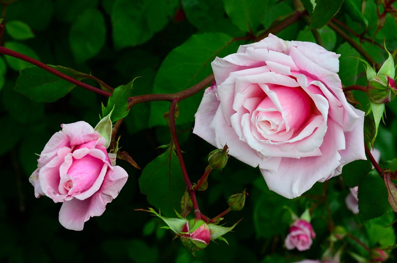 [chateau%2520%252026%255B4%255D.jpg]