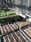 Yes!  It looks like someone has been busy planting seeds.