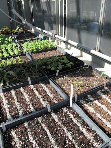 Yes!  It looks like someone has been busy planting seeds.