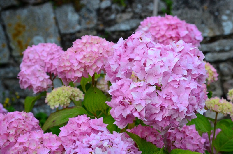 [chateau%252046%255B4%255D.jpg]