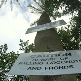 DSCF6833.JPG