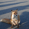 hokkaido_243.jpg