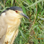 IMG_7573.JPG