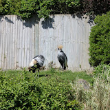 IMG_0507.JPG