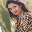 Vimala Raman Actrees Photo Shoot Gallery 2012