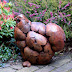 Object: 14908 - Buff Pullit - 36 cm - € 3900,=