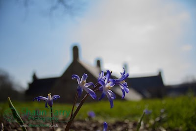 Trerice Manor-6.jpg