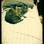 cats_chance_2011_06_10_16.jpg cats_chance_2011_06_10_16.jpg