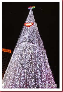 IMG_4441 IMG_4441