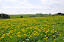 DSC_0015.JPG