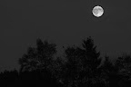 Vollmond Westerbeck