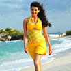 kajal agarwal (4).jpg