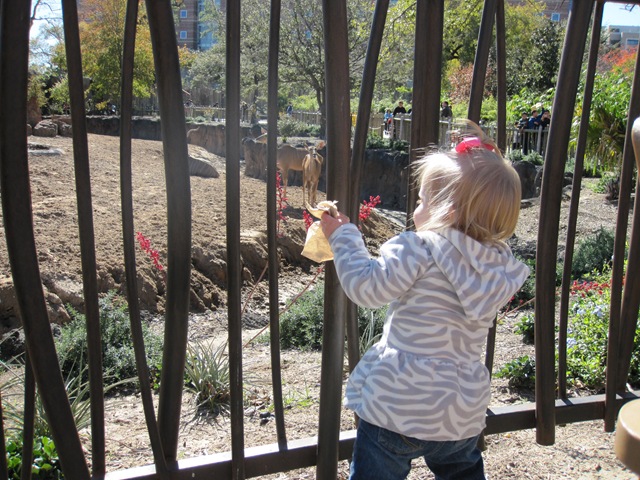 [IMG_0930%255B2%255D.jpg]