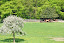 DSC_0100.JPG