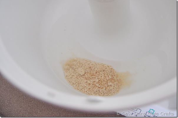 Yeast-water-and-sugar