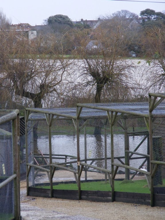 [DSCF7111-001%255B6%255D.jpg]