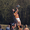 Line out.jpg