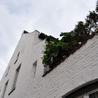 DSC_6588.jpg