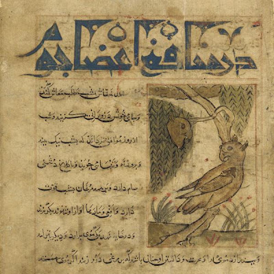 Folio from a Manafi'al-Hayawan (Usefulness of Animals); two owls in a tree | Origin: Tabriz, Iran | Period: early 14th century Il-Khanid period | Details: Not Available | Type: Opaque watercolor, ink and gold on paper | Size: H: 24.2 W: 19.9 cm | Museum Code: F1944.54 | Photograph and description taken from Freer and the Sackler (Smithsonian) Museums. 2088614637c34ecba7ea6de65d70ae09.jpg