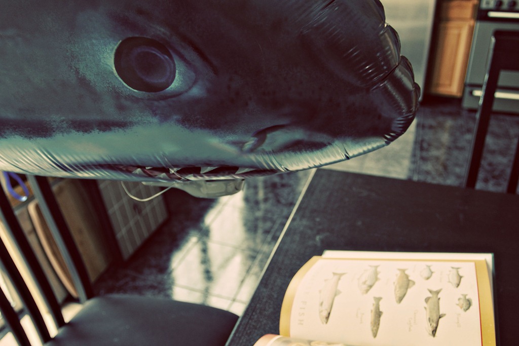 [SharkLunch%255B3%255D.jpg]