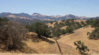 DSC02921.jpg