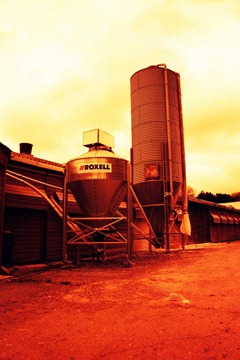 Farm-Life-26---XPRO