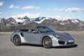 Porsche-Show-Debuts-1 Porsche-Show-Debuts-1
