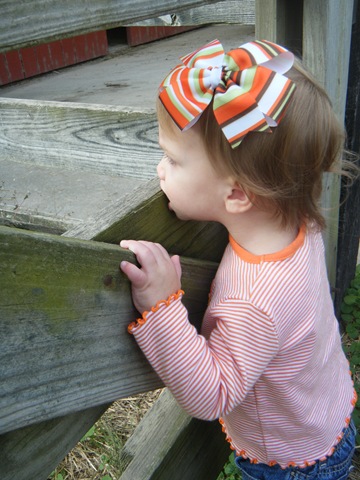 [bottomviewfarmswmops0063.jpg]