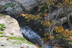 Hayes Canyon