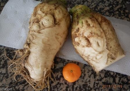 [oclarinet.blogspot.com%2520%2528Rabas%2529%255B7%255D.jpg]