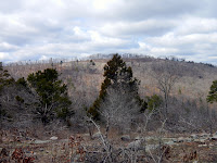 DSCN1913.JPG