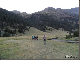 SAM_0417 SAM_0417