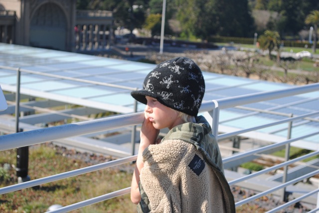 [DSC_0080%255B2%255D.jpg]