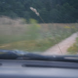 IMG_6710.JPG