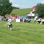 SSHL Rosina 2008 - od zajka