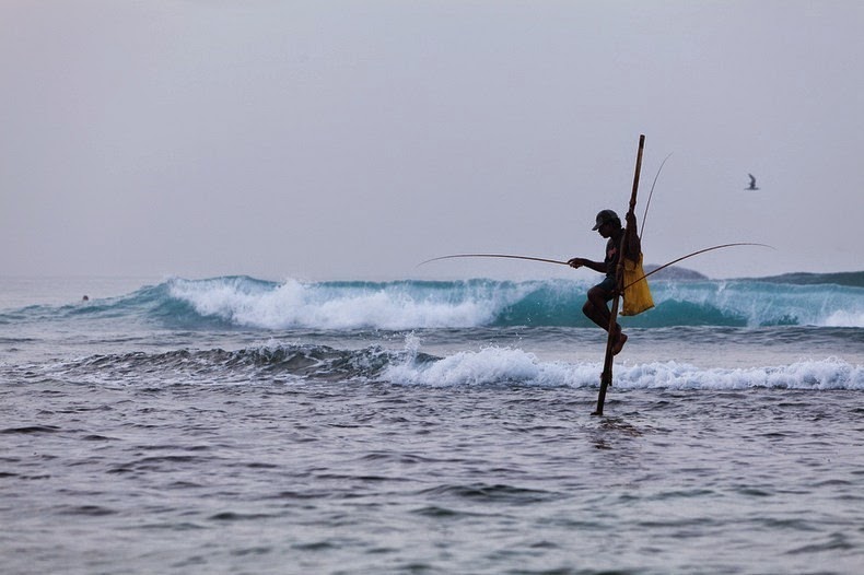 stilt-fishermen-sri-lanka-5