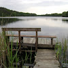 dsc02860.jpg