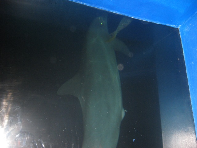 [IMG_39902.jpg]