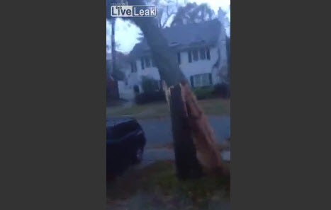 [hurricane-sandy-suburbs-tree%255B3%255D.jpg]