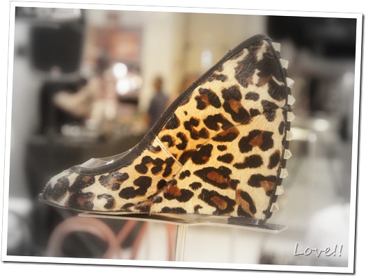 Animal Print Animal Print