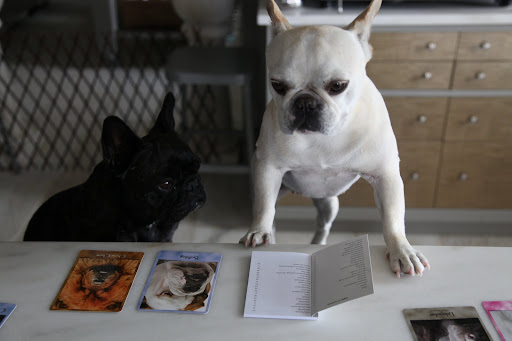 Hold on, Franny!  Let me look through the table of contents in the instruction booklet.  French Bulldog just has to be in here somewhere...