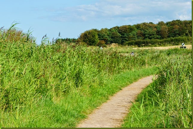 Cley Marshes