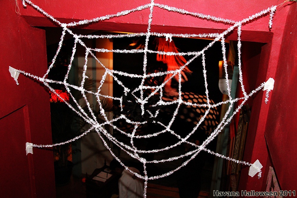 [2011-11-29%2520Havana%2520Halloween%25202011%2520027%255B2%255D.jpg]