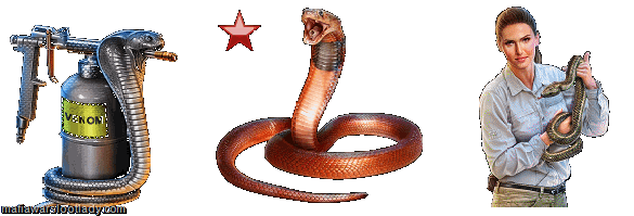 snakes snakes