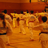 Master Harrison Seminar 2011 - IMGP3116.JPG