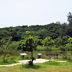 20060819_22_kenting_119.jpg