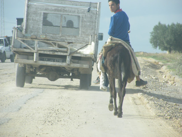 Tunesien2009-0489.JPG
